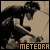 Replacing This Pain: A Meteora Fanlisting